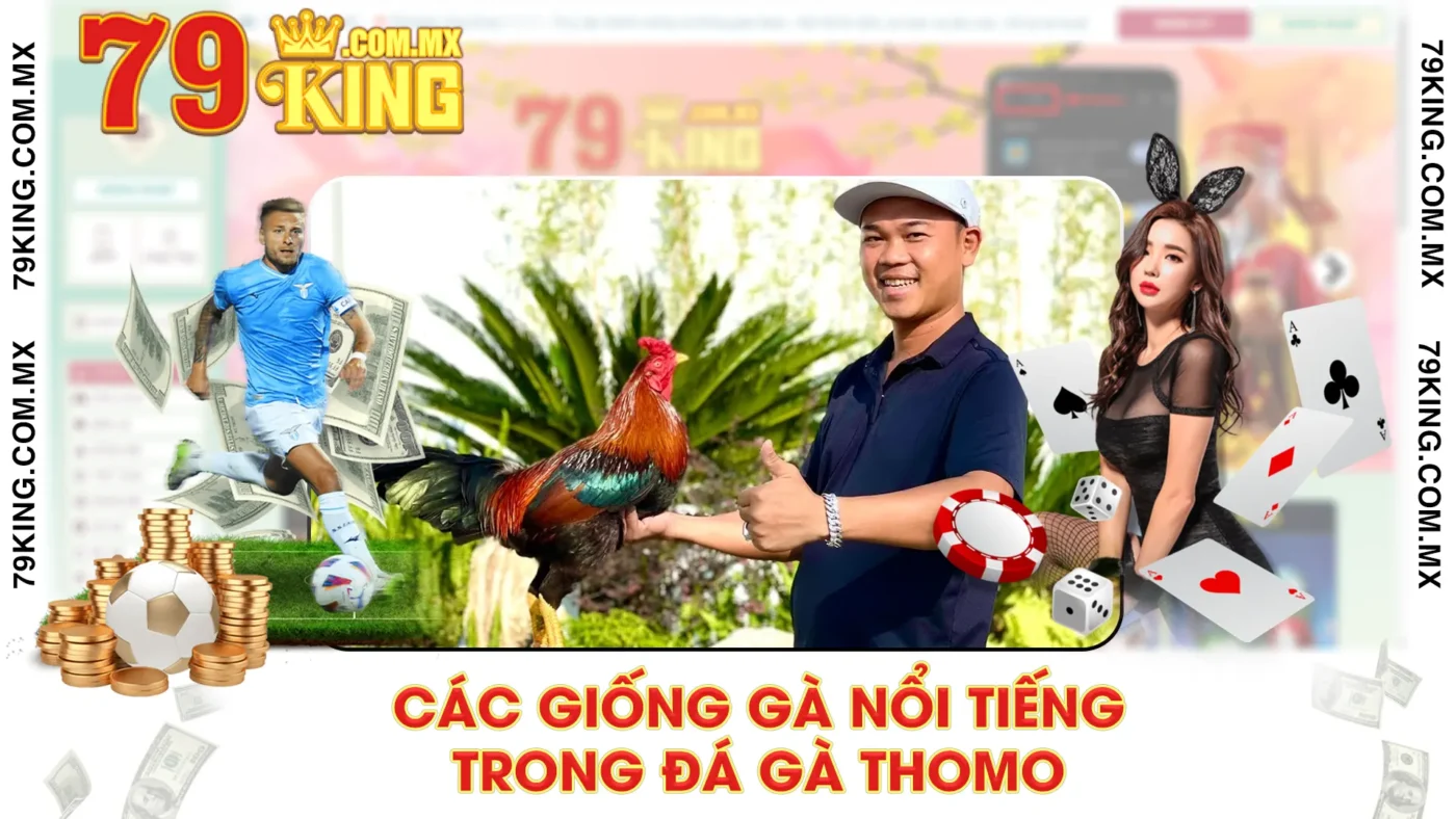 Các giống gà nổi tiếng trong đá gà thomo