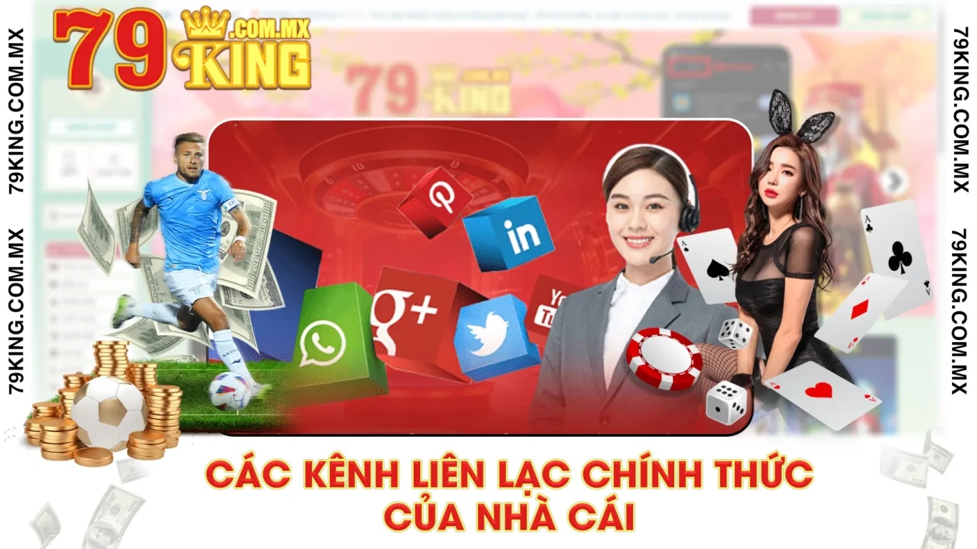 liên hệ 02